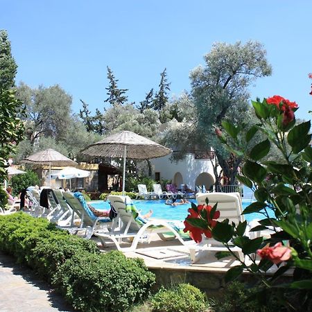 Toloman Bitezpark Apartments Bodrum Exteriér fotografie